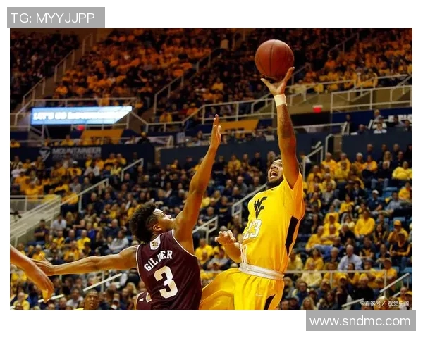 2019年湖人与76人精彩对决央视录像回放全程回顾与分析